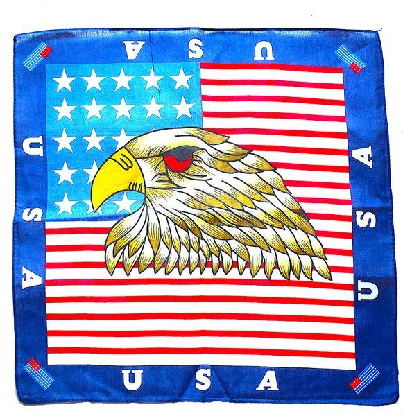 Örn USA Bandana scarf - Hiprock 